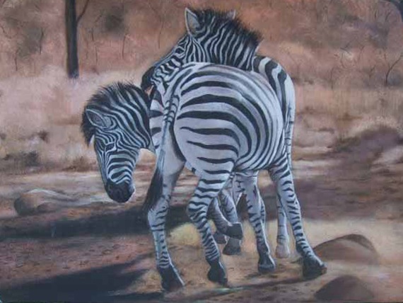 DS1969 Zebra