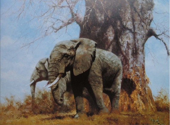 DS5872 Elephants