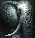 HPC13 - ELEPHANT GREY
