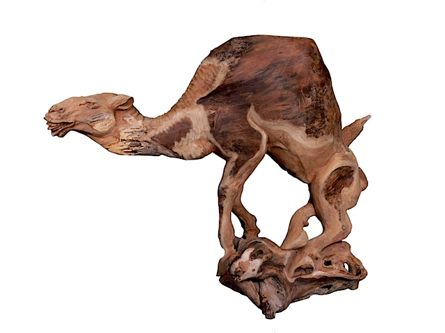 81471 Old Camel Sculpture (60x70x115 cm)