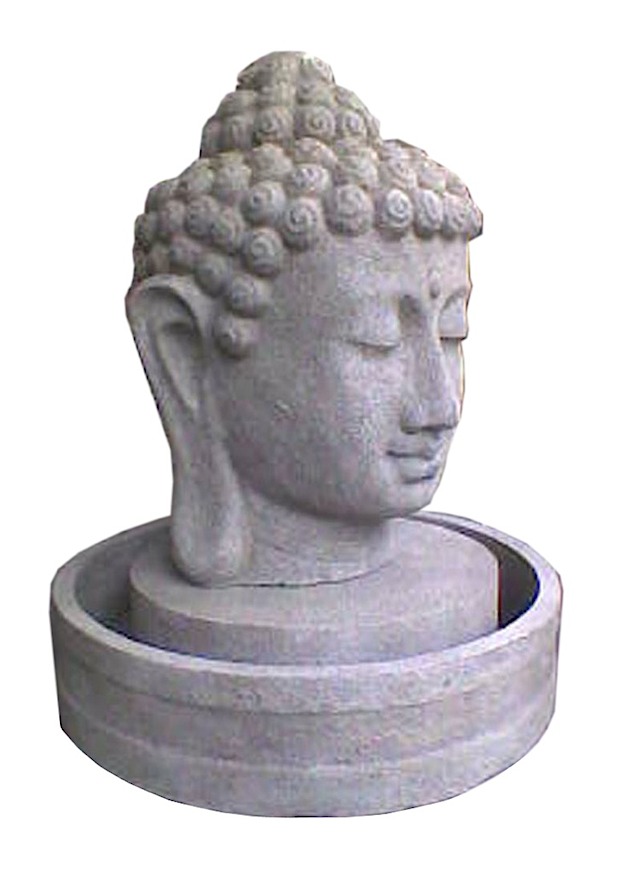 FC29