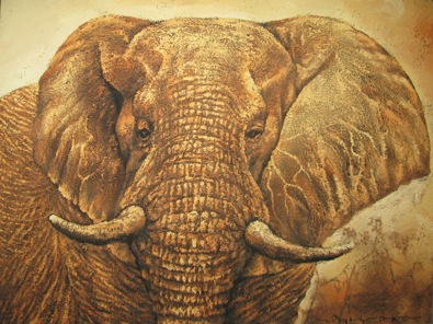 HPS123 Elephant