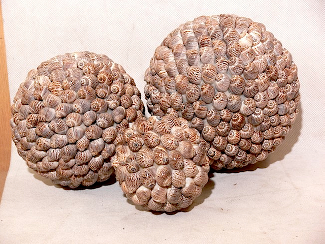 SET OF BALL SEASHELL D. 9cm