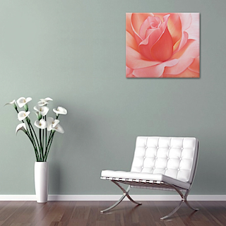 Landscape Flower Paintings