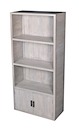 BOOKCASE 4 LEVEL 2 DOOR